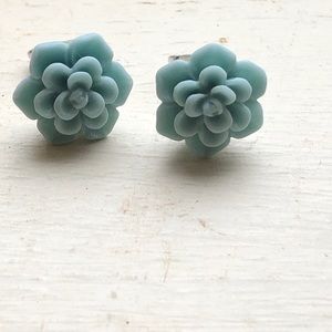 Succulent earrings. Post earrings. Hypoallergenic